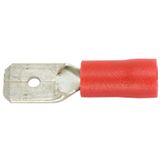 SWG Kabelschoen male 4,8/0,5-1,5mm², rood Doos 100st.