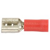 SWG Kabelschoen female 6,3/0,5-1,5mm², rood Doos 100st.