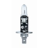 Vosla H1-12V-55W-P14,5s