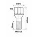 TWS Wielbout M12x1,50 - 28mm - Bol R12 - SW17 - Zilver - Zakje 5st