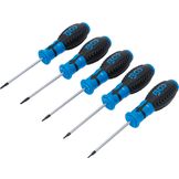 BGS Schroevendraaierset T-profiel (voor Torx) T6 - T10 7-dlg