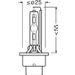 Neolux 12v - 35w - P32d-2 - D2S 4300K