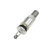 TWS Vervangingsventiel RDV036 Zilver