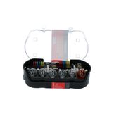 Carpoint Gloeilampenset H4 30-Delig