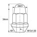 TWS Wielmoer M12 x 1,50 - 34mm - SW21 - Conisch - Zilver - Dicht - Zakje 5st