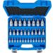 BGS Dopsleutelbitset | 6,3 mm (1/4") / 10 mm (3/8") / 12,5 mm (1/2") | Binnenzeskant 2 - 19 mm / 1/4 - 9/16" | metrische en inchmaten | 32-dlg.