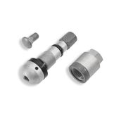 TWS Vervangingsventiel RDV021 43mm Gen 2 Zilver