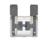 SWG Vlaksteekzekering maxi 80 A, transparant Blister 1st.