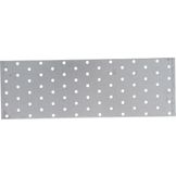Gaatjesplaat metaal 300x100mm