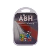 Assortiment Mini Steekzekering