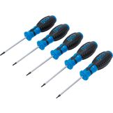 BGS Schroevendraaierset T-profiel (voor Torx) met boring T6 - T10 5-dlg