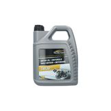 Protecton Motorolie Synthetisch 5W-30 C3 5L