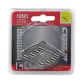 Carpoint Zekeringen Glas Assortimen